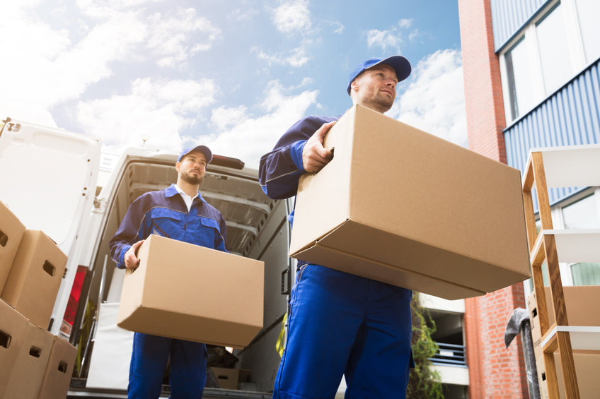 Conditions Générales de Vente - Fini la location de camionnette, TDH  Transports, la Livraison Express pour Entreprises et Particuliers sur le  Bas-Rhin ( Strasbourg, Haguenau, Saverne )